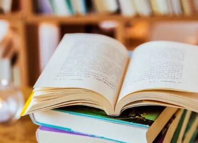 官網程序語言的選擇，關鍵在于企業需求和技術實力